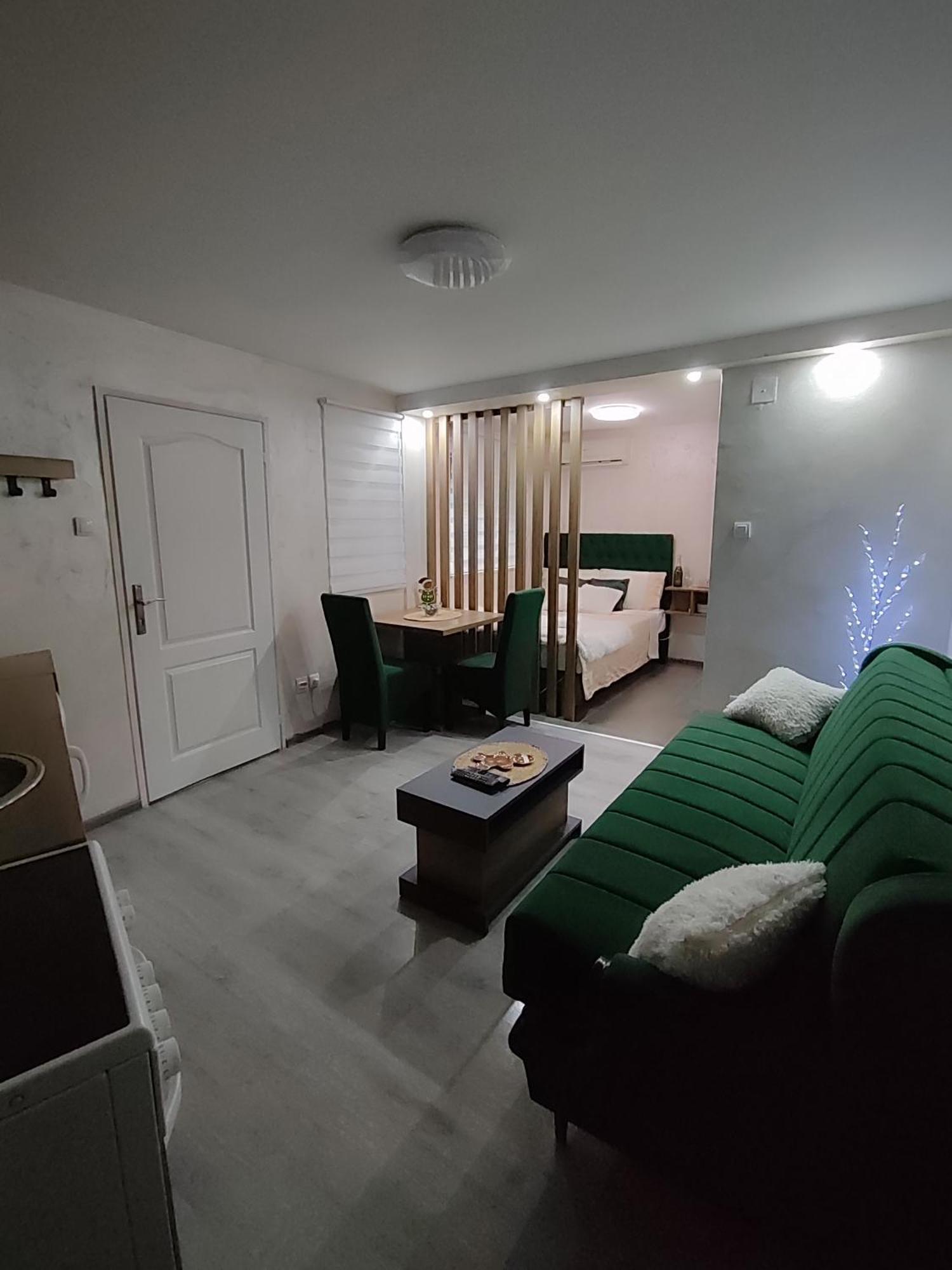 Studio Apartman Free Parking Rubikon ベオグラード エクステリア 写真