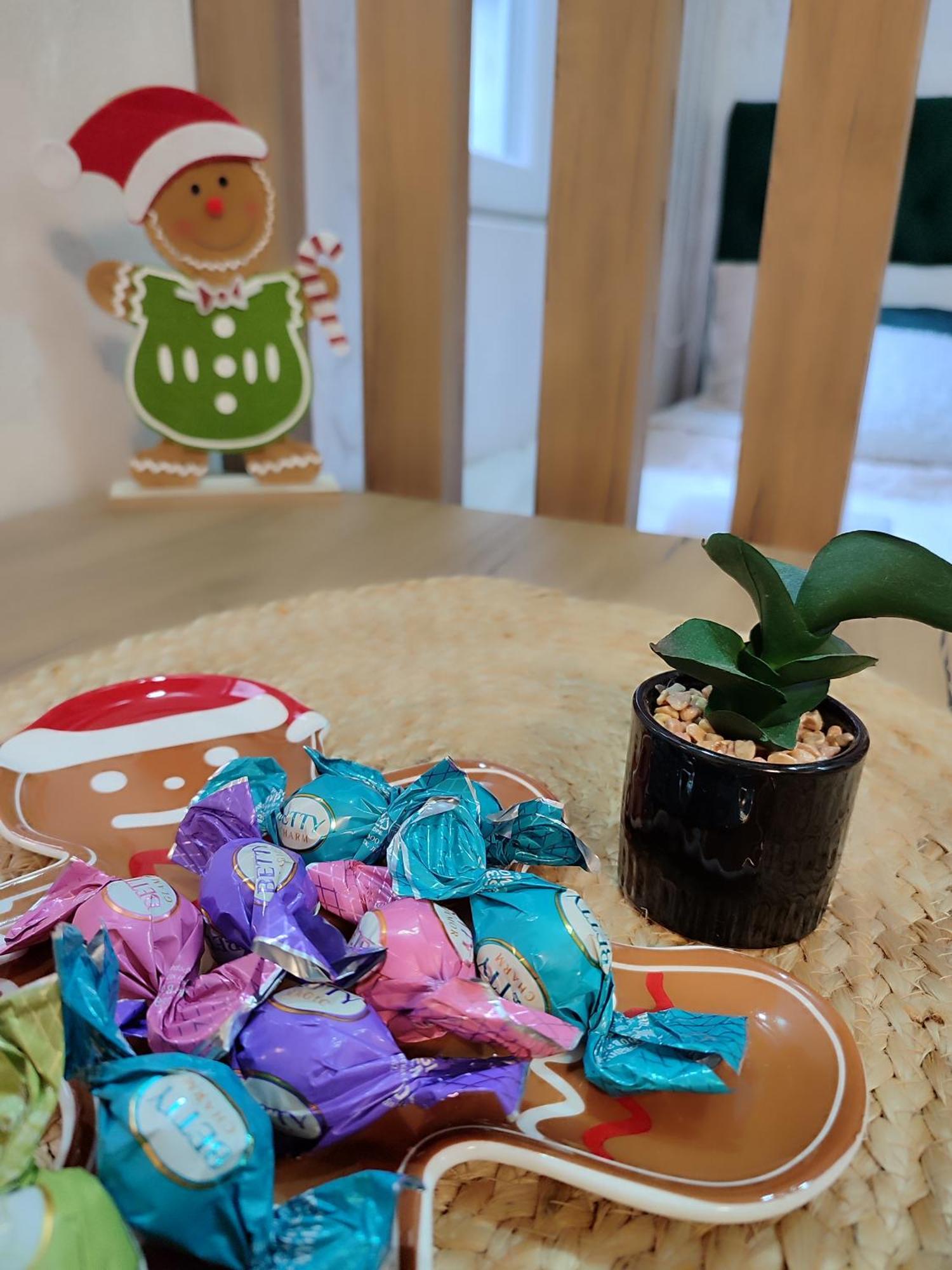 Studio Apartman Free Parking Rubikon ベオグラード 部屋 写真