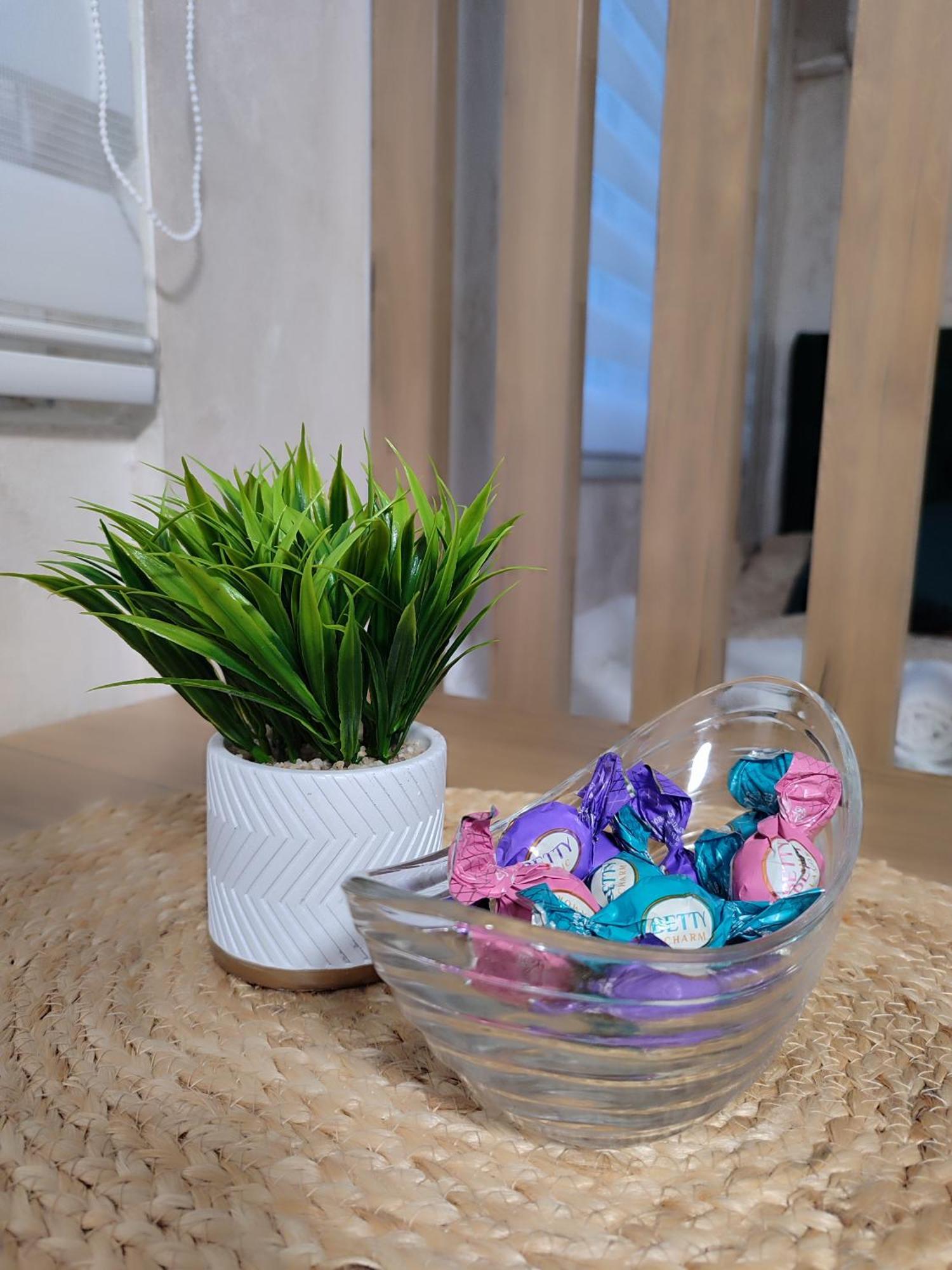 Studio Apartman Free Parking Rubikon ベオグラード 部屋 写真